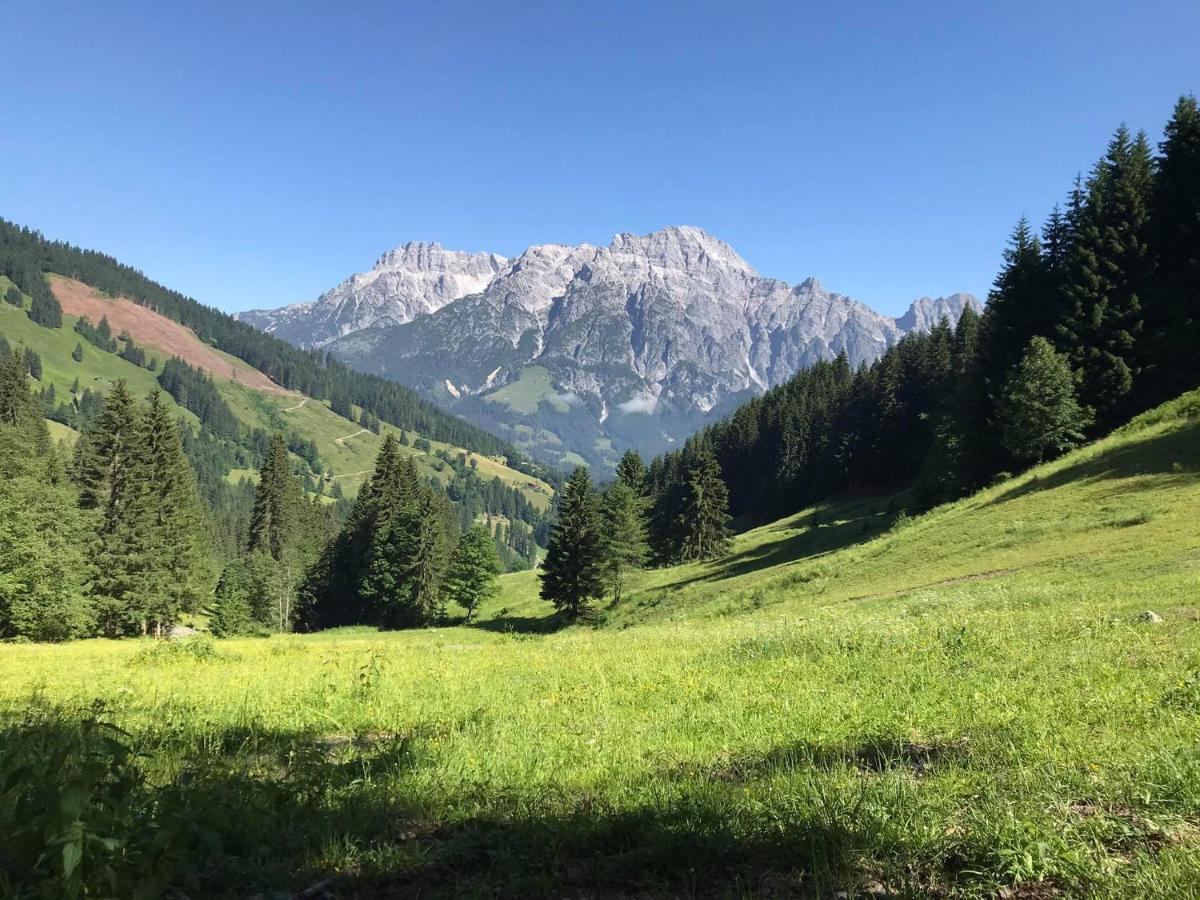 Untergrundgut *